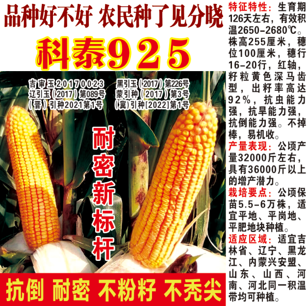 科泰925