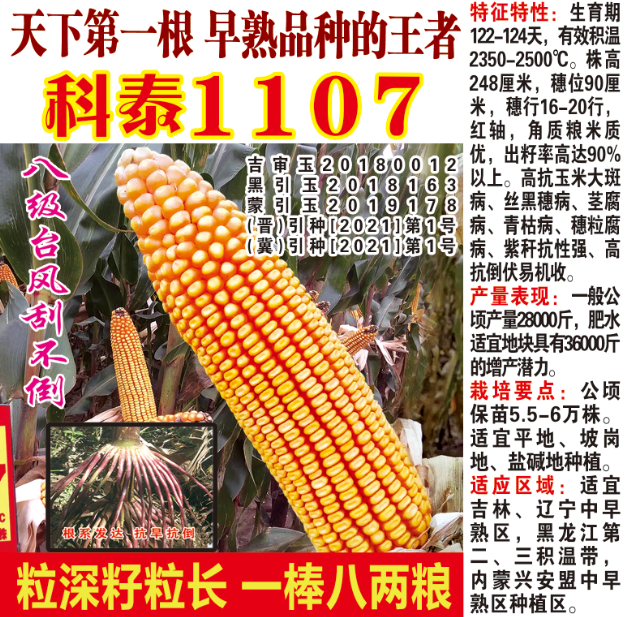 科泰1107